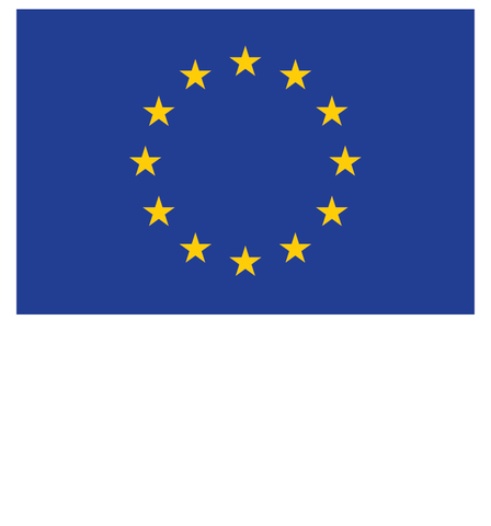 بتمويل مشترك من الاتحاد الأوروبي